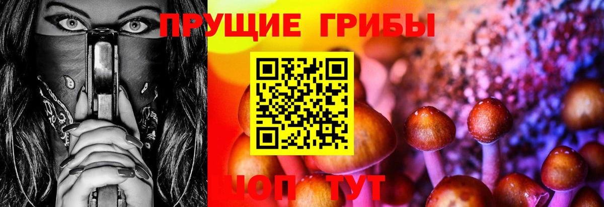 Псилоцибиновые грибы прущие грибы Краснознаменск
